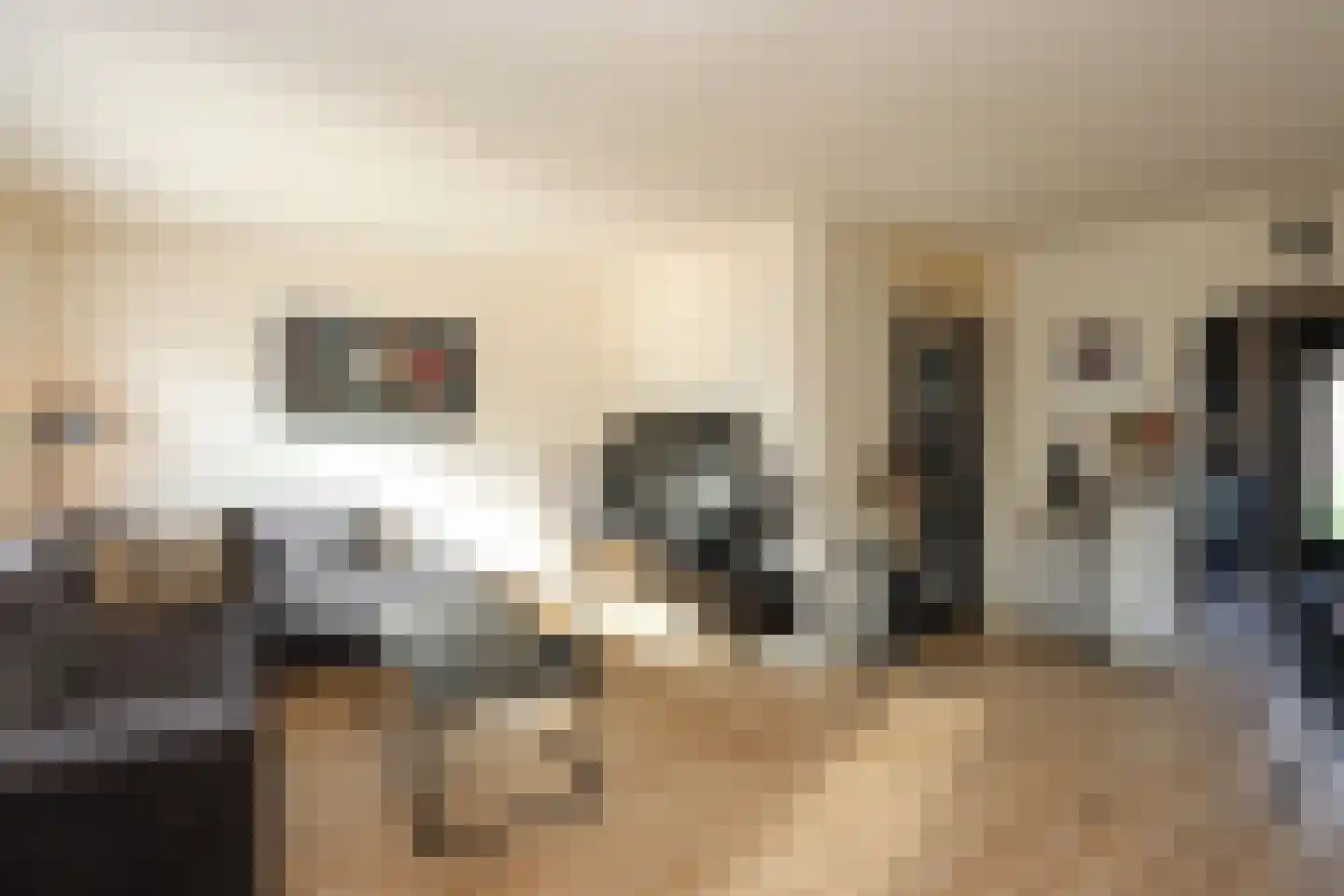 Het Spint 12 Dronten thumbnail 7
