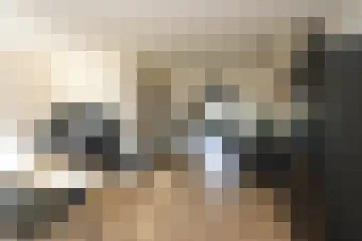 Het Spint 12 Dronten thumbnail 9