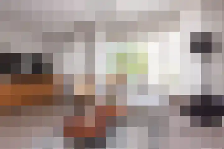 Het Spint 16 Dronten thumbnail 10