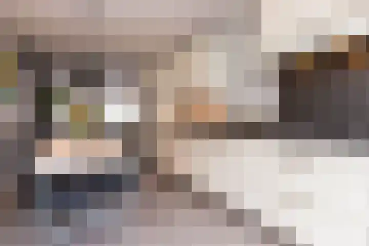 Het Spint 16 Dronten thumbnail 11