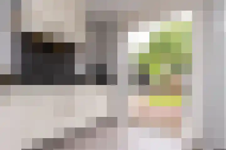Het Spint 16 Dronten thumbnail 14
