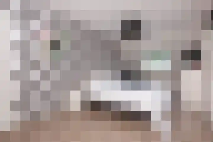 Het Spint 16 Dronten thumbnail 22