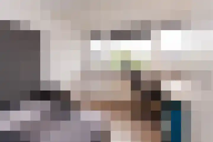 Het Spint 16 Dronten thumbnail 23