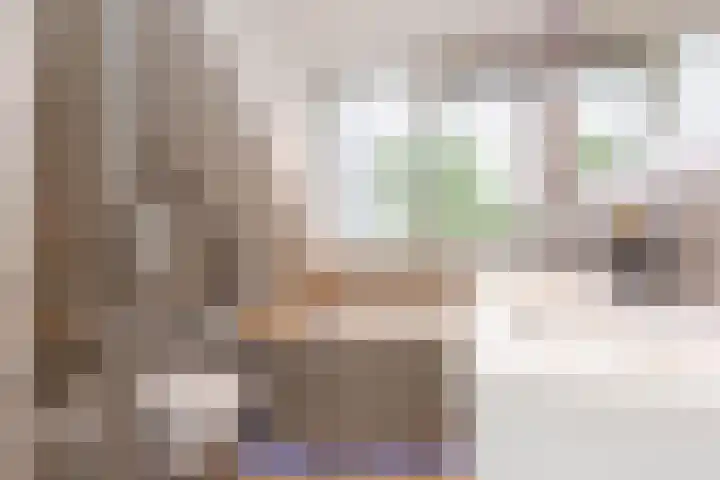Het Spint 16 Dronten thumbnail 27