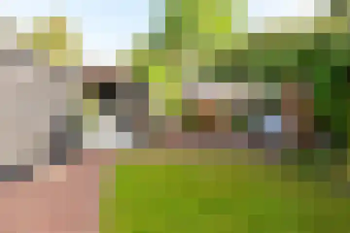 Het Spint 16 Dronten thumbnail 29
