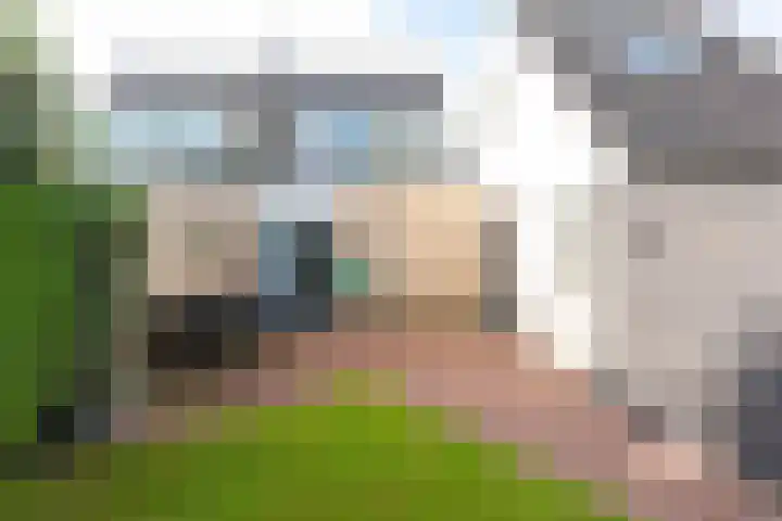 Het Spint 16 Dronten thumbnail 30