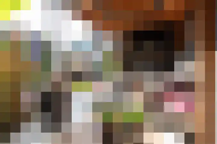 Het Spint 16 Dronten thumbnail 32
