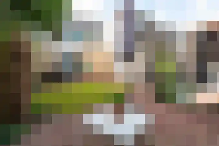 Het Spint 16 Dronten thumbnail 33