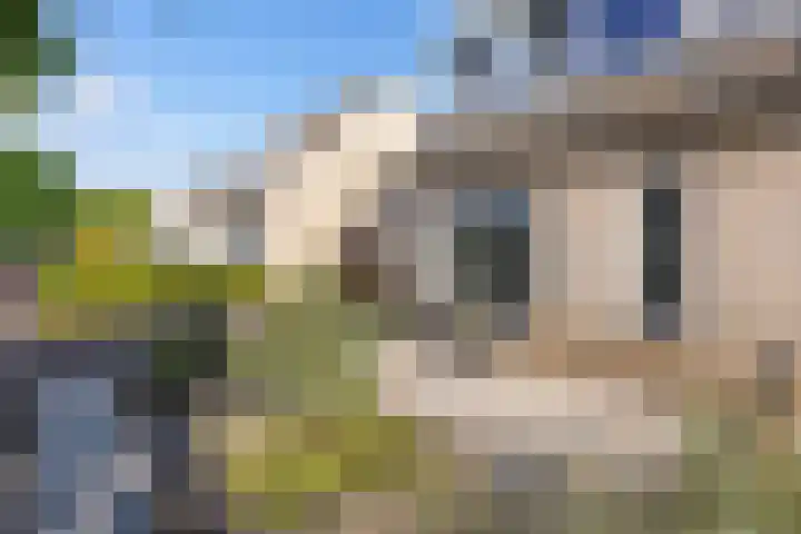 Het Spint 16 Dronten thumbnail 4