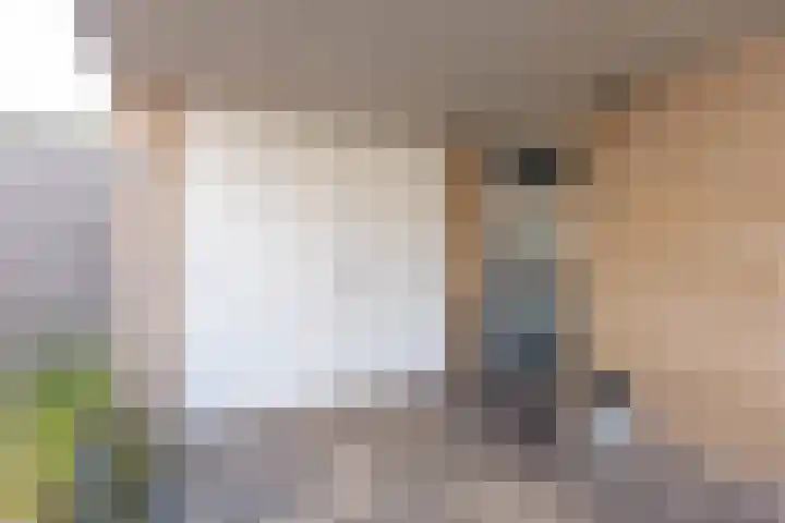 Het Spint 16 Dronten thumbnail 5