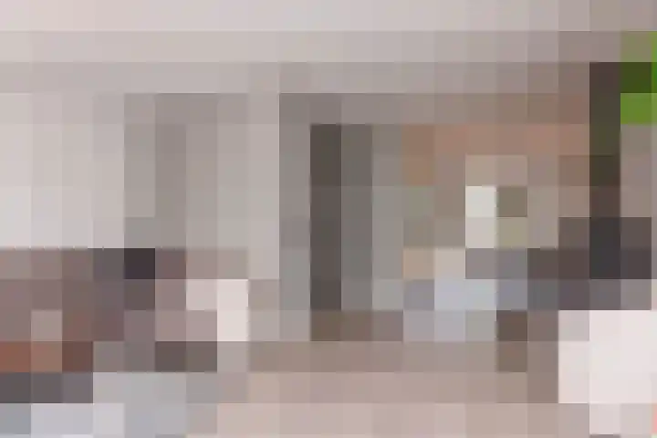 Het Spint 16 Dronten thumbnail 8