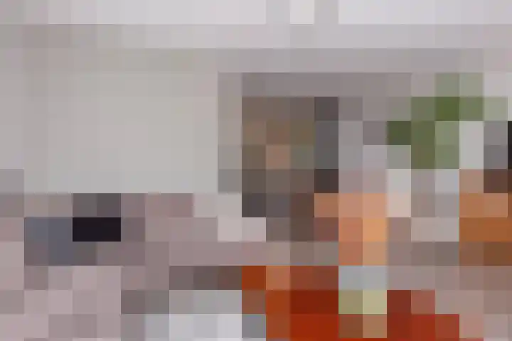 Het Spint 16 Dronten thumbnail 9