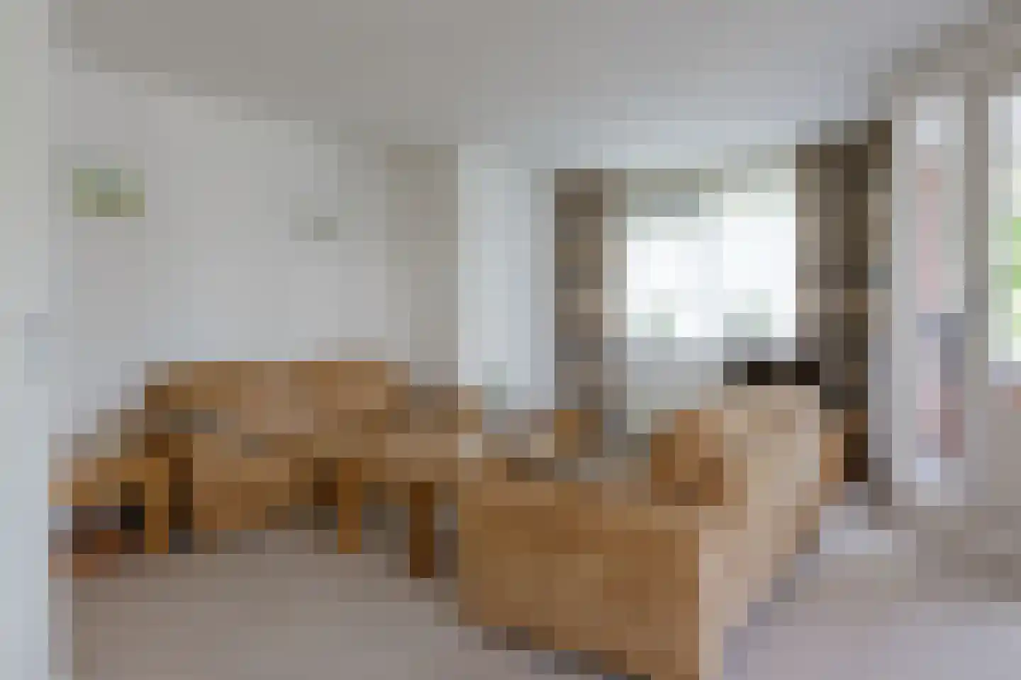 Het Spoor 24 Houten thumbnail 9
