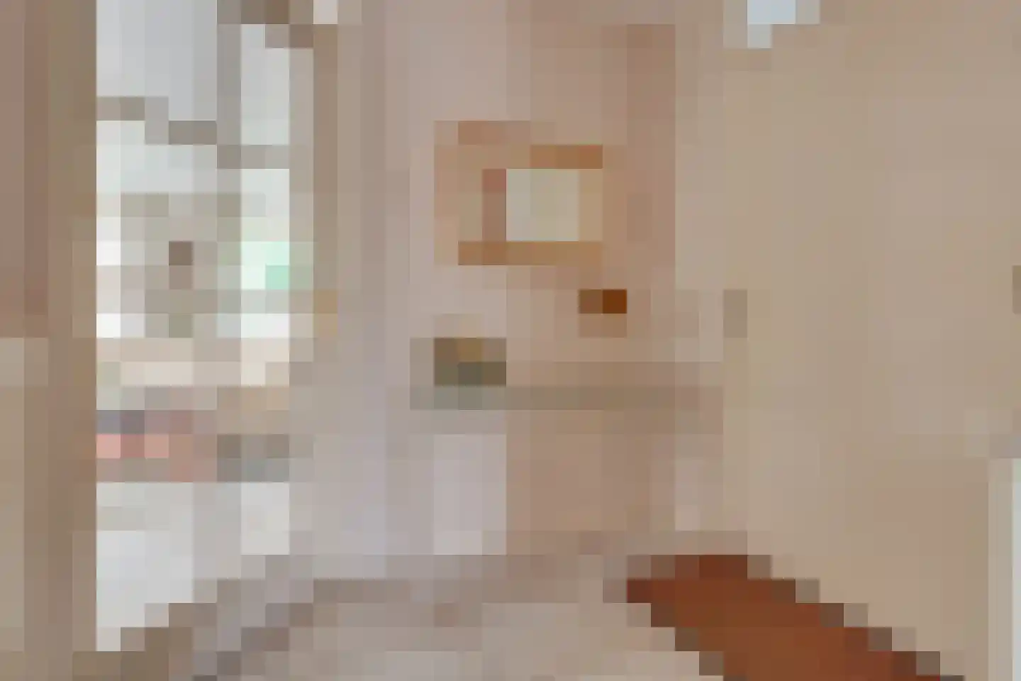 Het Spoor 32 Houten thumbnail 11