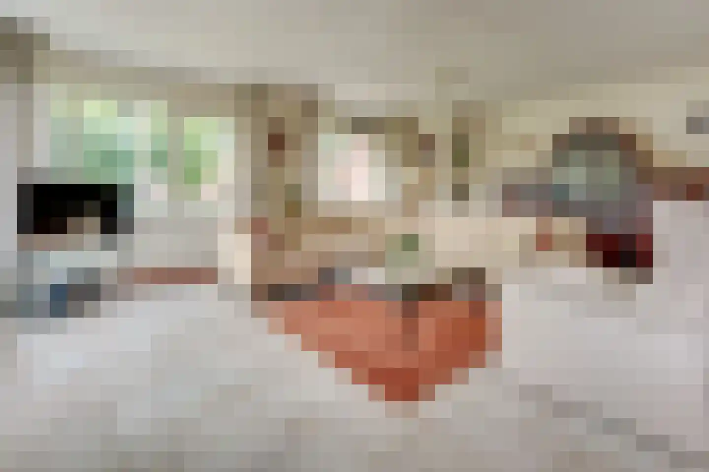 Het Spoor 32 Houten thumbnail 16