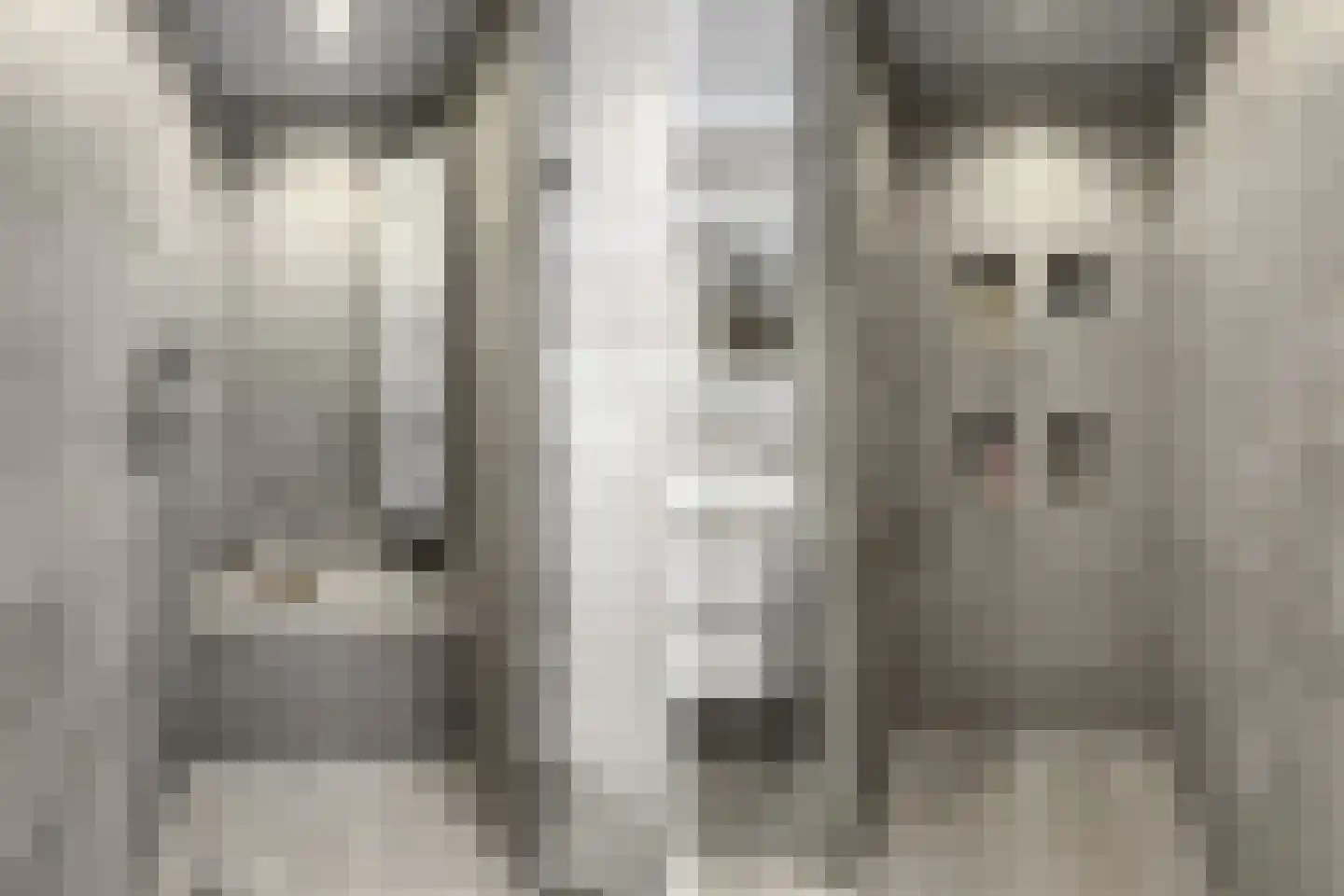Het Spoor 34 Houten thumbnail 24