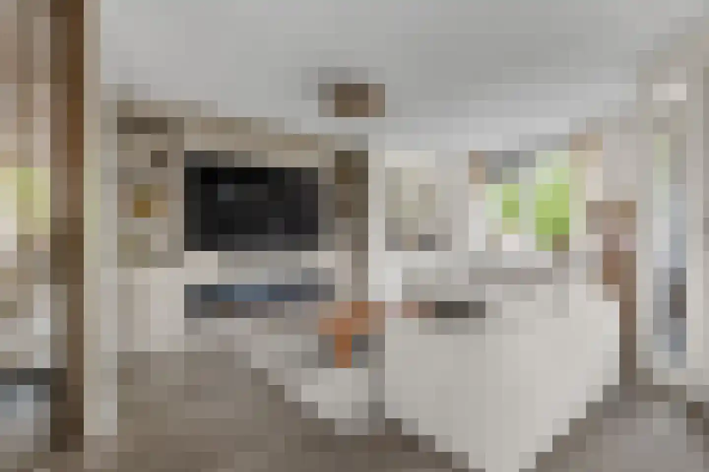 Het Spoor 34 Houten thumbnail 5