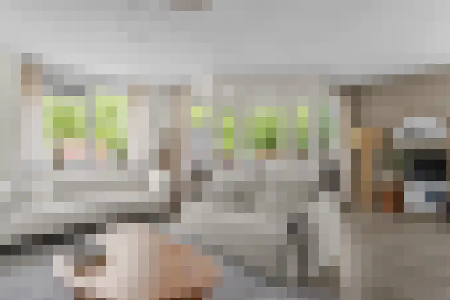 Het Spoor 34 Houten thumbnail 8