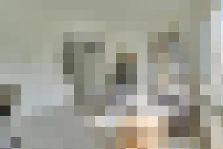 Het Spoor 54 c Houten thumbnail 11