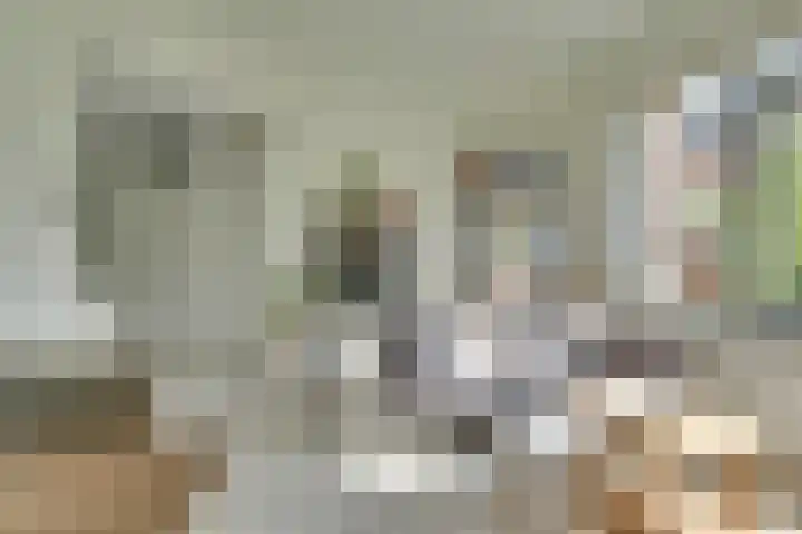 Het Spoor 54 c Houten thumbnail 13