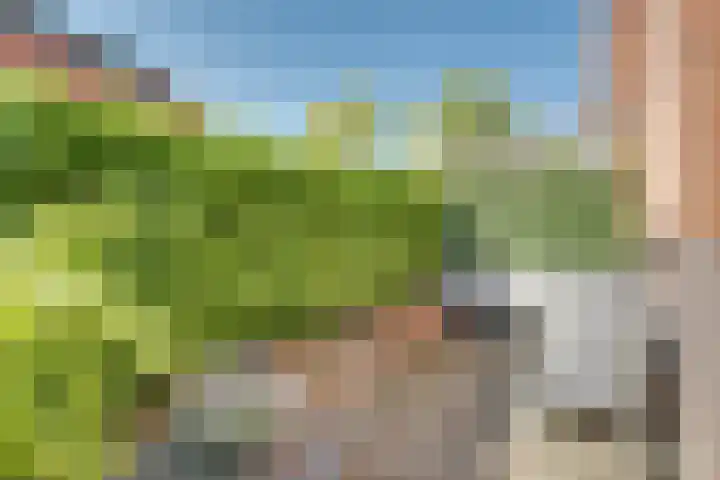 Het Spoor 54 c Houten thumbnail 19