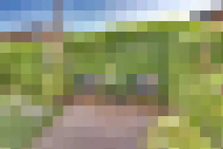 Het Spoor 54 c Houten thumbnail 22