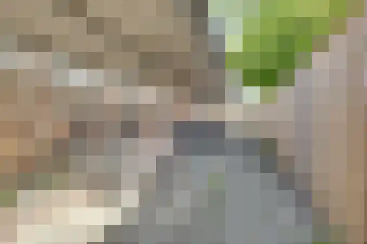 Het Spoor 54 c Houten thumbnail 27