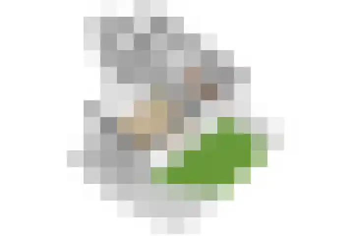 Het Spoor 54 c Houten thumbnail 35