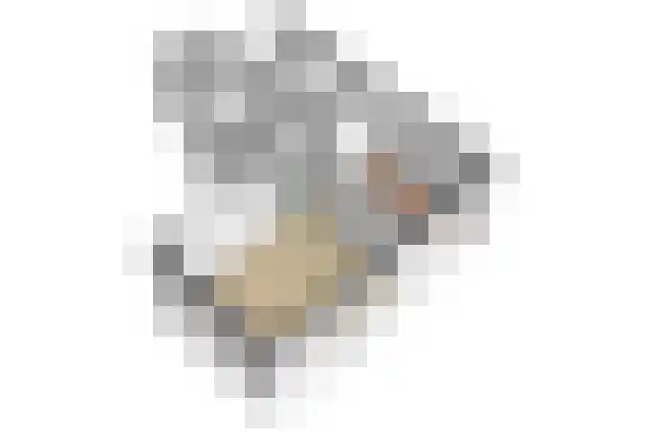 Het Spoor 54 c Houten thumbnail 37
