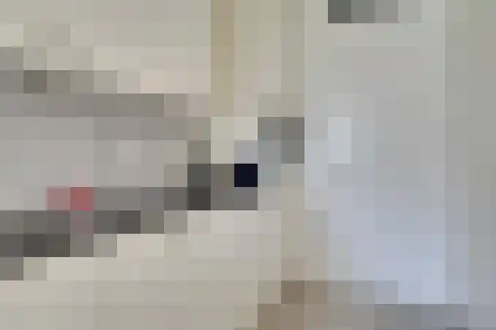 Het Spoor 54 c Houten thumbnail 8