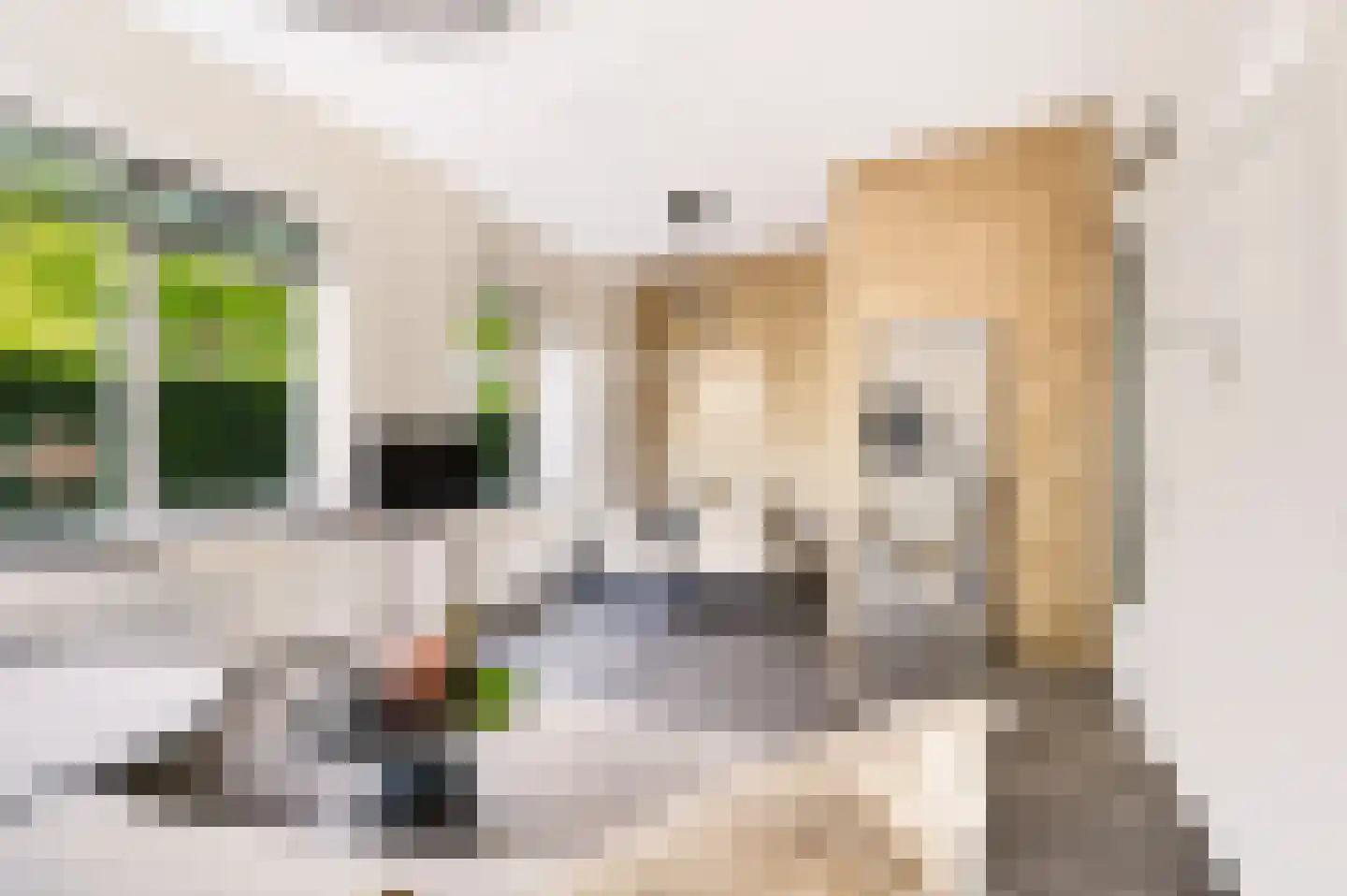 Het Spoor 54 d Houten thumbnail 16