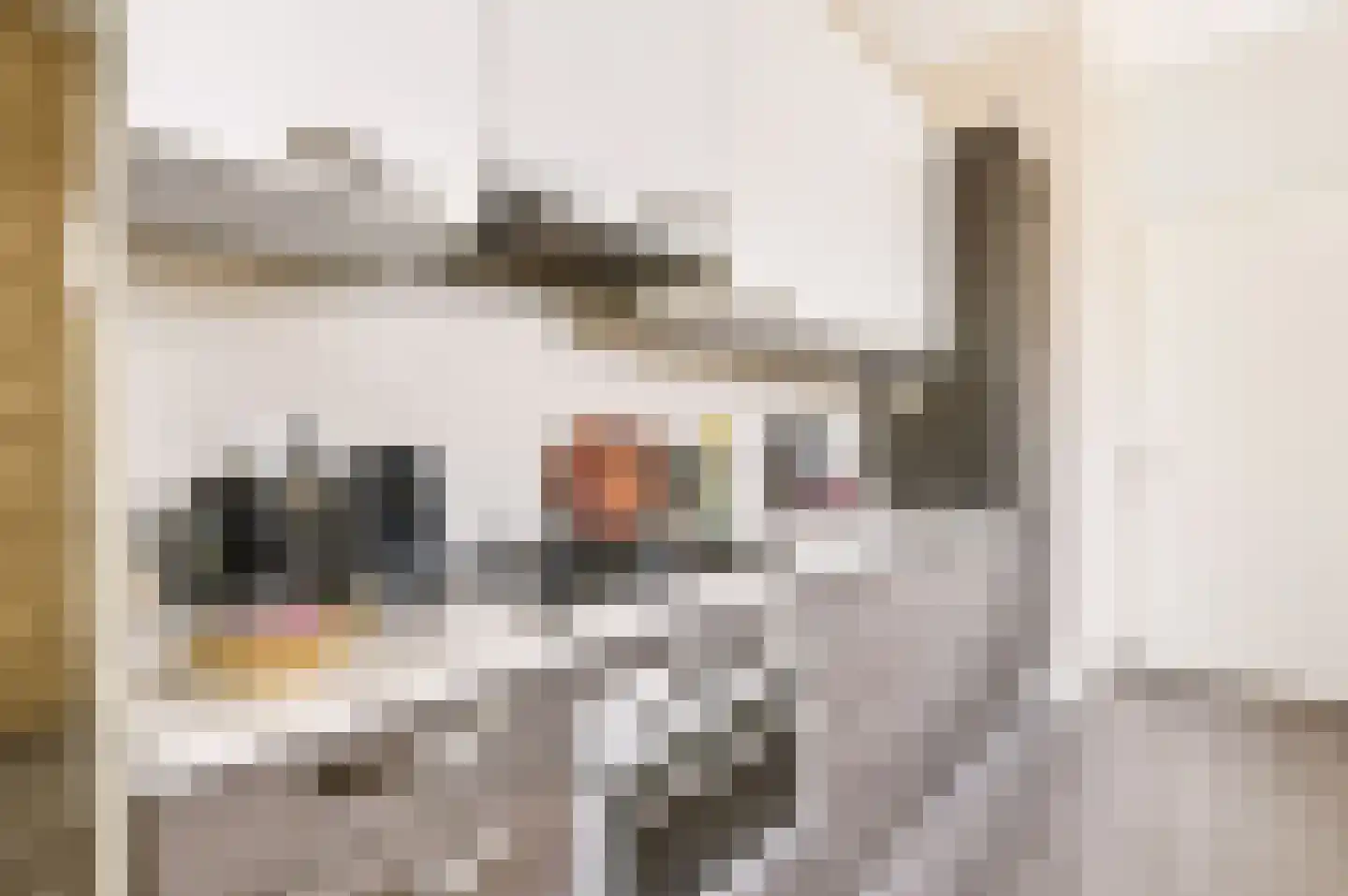 Het Spoor 54 d Houten thumbnail 21