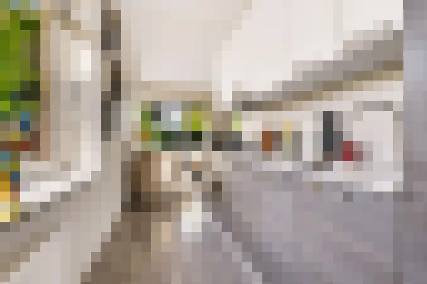 Het Spoor 54 d Houten thumbnail 22