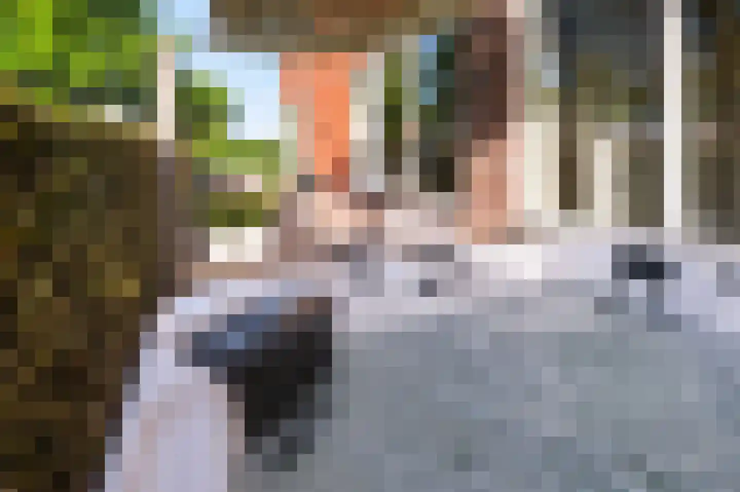 Het Spoor 54 d Houten thumbnail 38