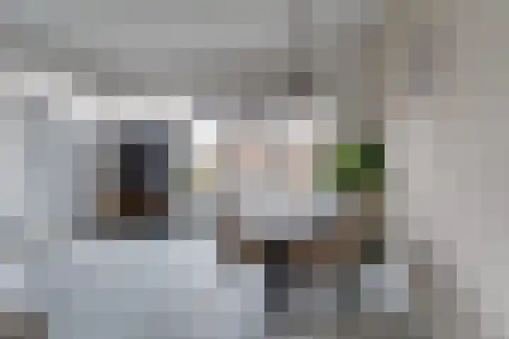 Het Spoor 56 b Houten thumbnail 11