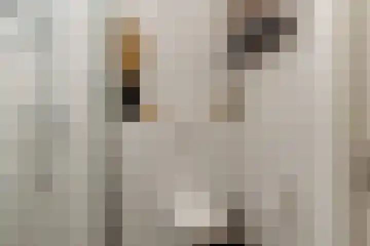 Het Spoor 56 b Houten thumbnail 31