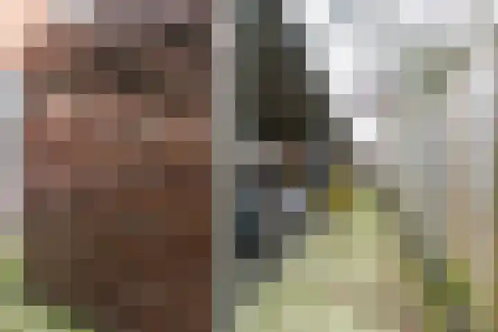 Het Spoor 56 b Houten thumbnail 38