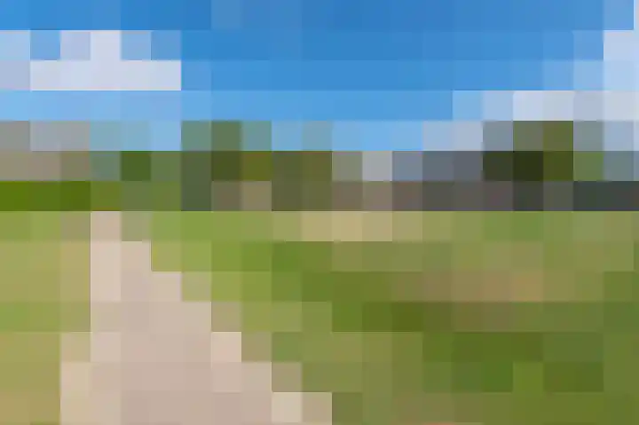 Het Spoor 56 b Houten thumbnail 39