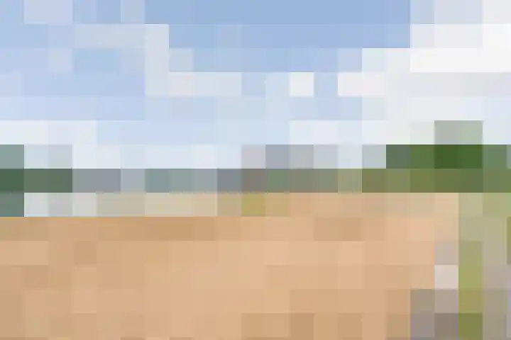 Het Spoor 56 b Houten thumbnail 44