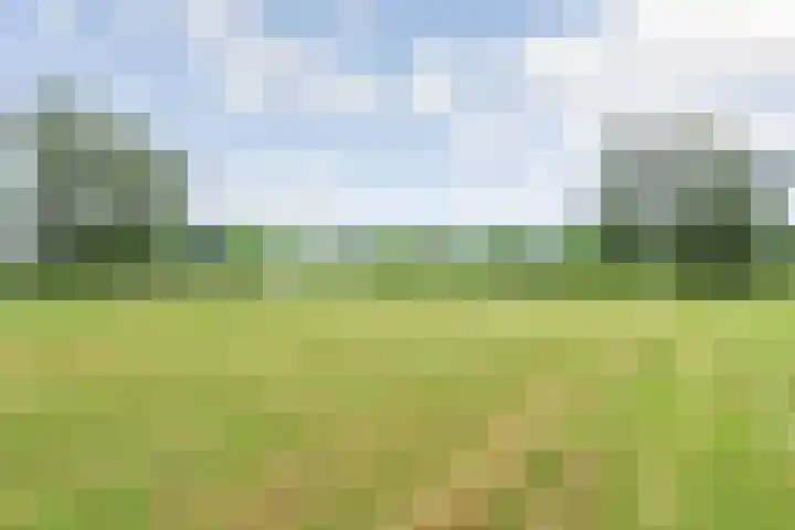 Het Spoor 56 b Houten thumbnail 47
