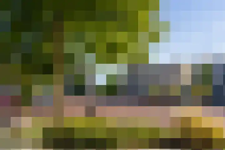 Het Spoor 56 b Houten thumbnail 49