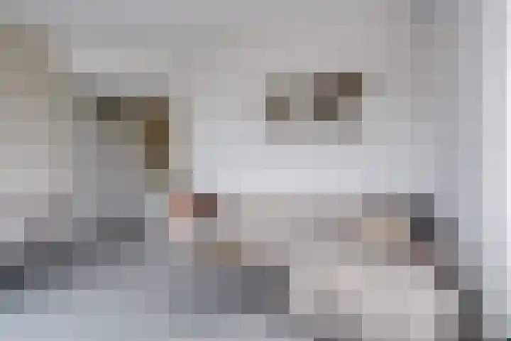 Het Spoor 56 b Houten thumbnail 9