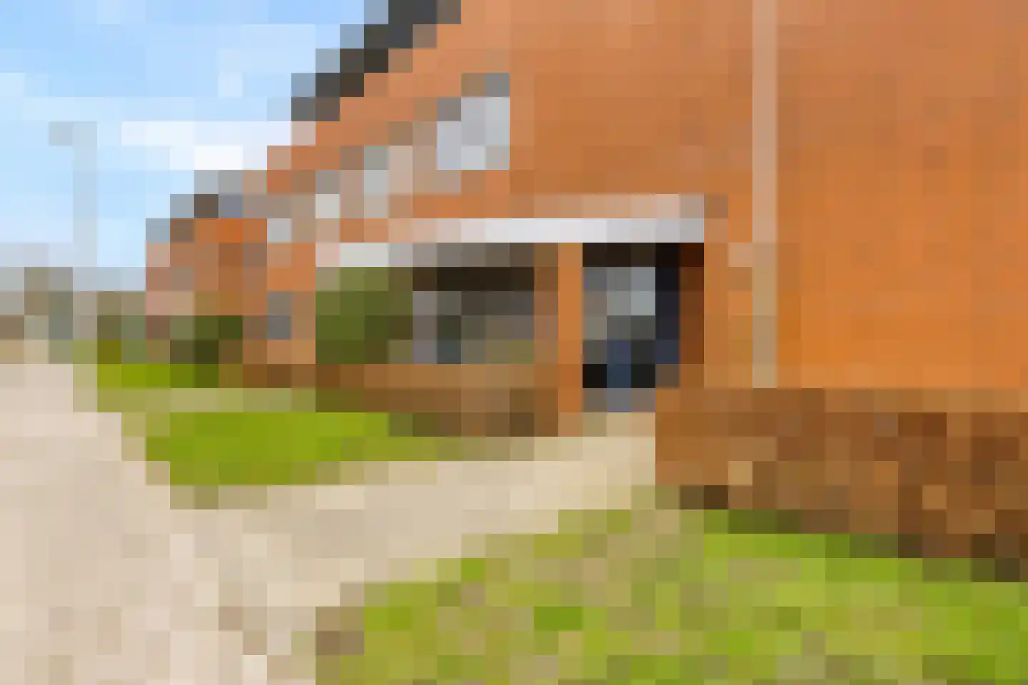 Het Spoor 80 Houten thumbnail 4