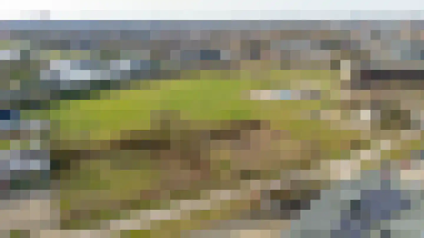 Het Spoor 80 Houten thumbnail 63
