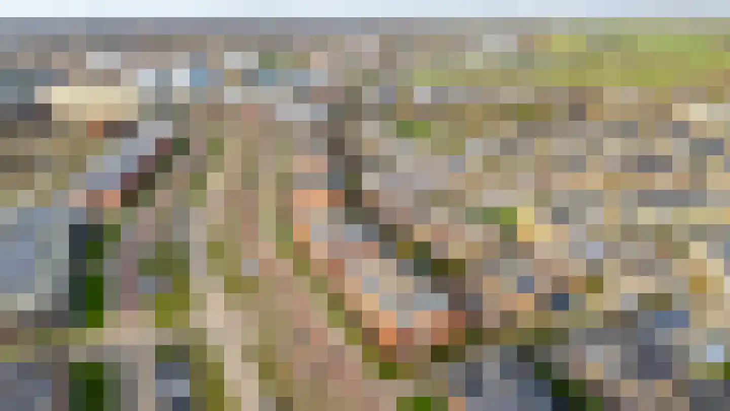 Het Spoor 80 Houten thumbnail 64