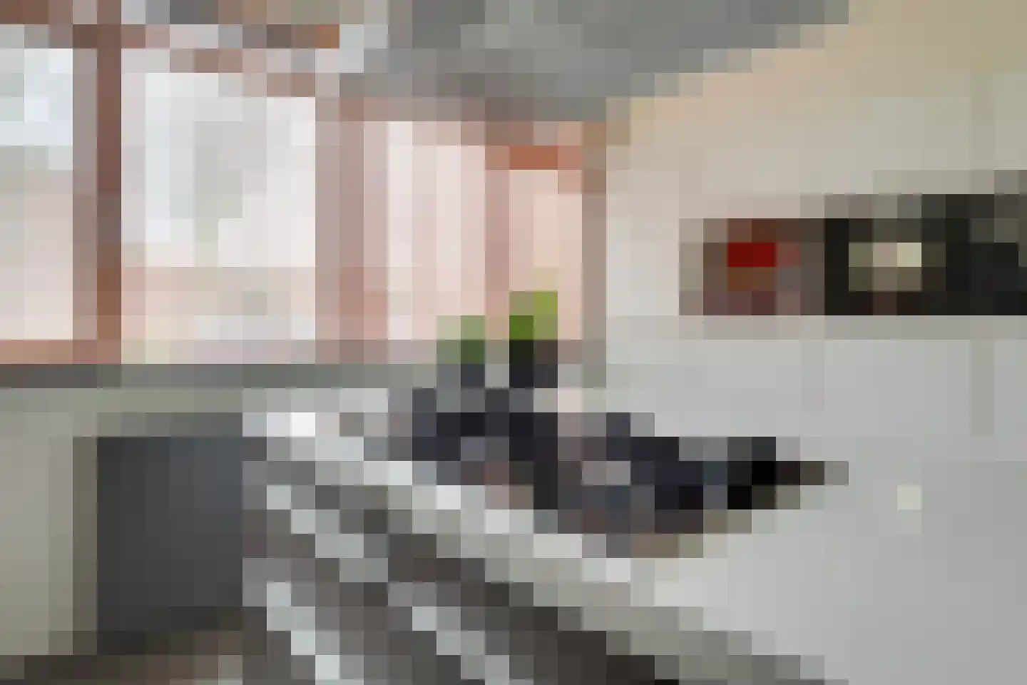 Het Spoor 90 Houten thumbnail 18
