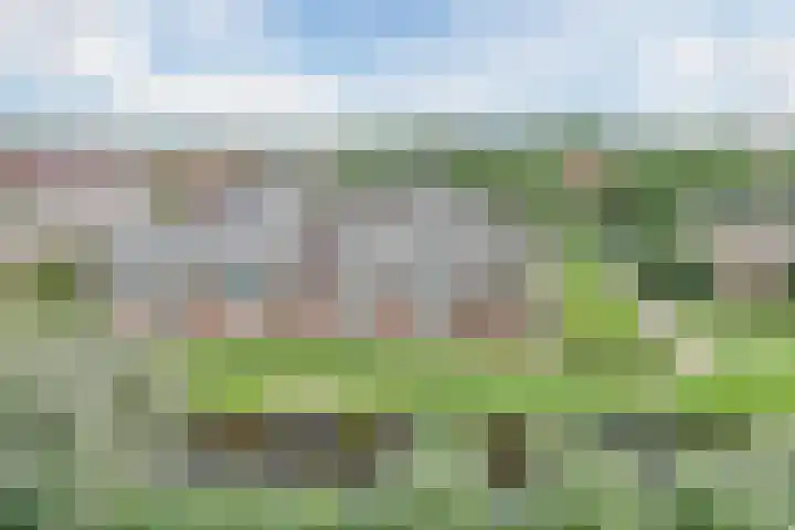 Het Spoor 90 Houten thumbnail 24
