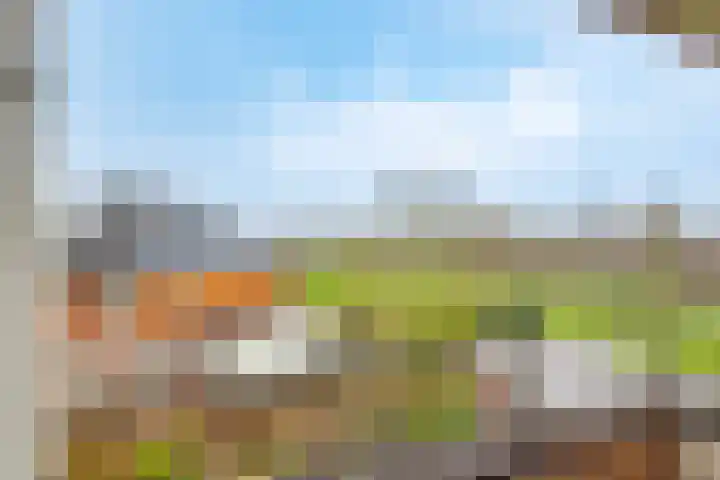Het Spoor 90 Houten thumbnail 40