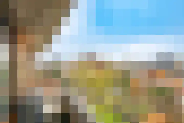 Het Spoor 90 Houten thumbnail 41