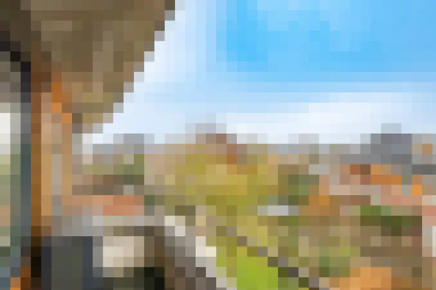 Het Spoor 90 Houten thumbnail 41
